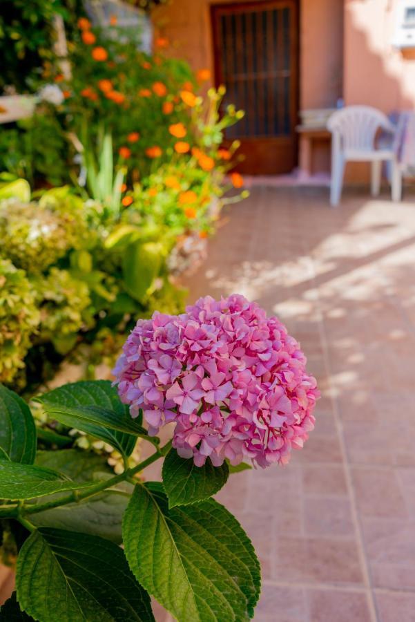 Valsamis Villa Apartments Poros  Luaran gambar